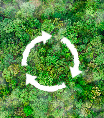 Gestão responsável de resíduos, um objetivo estratégico de sustentabilidade para a Lecta