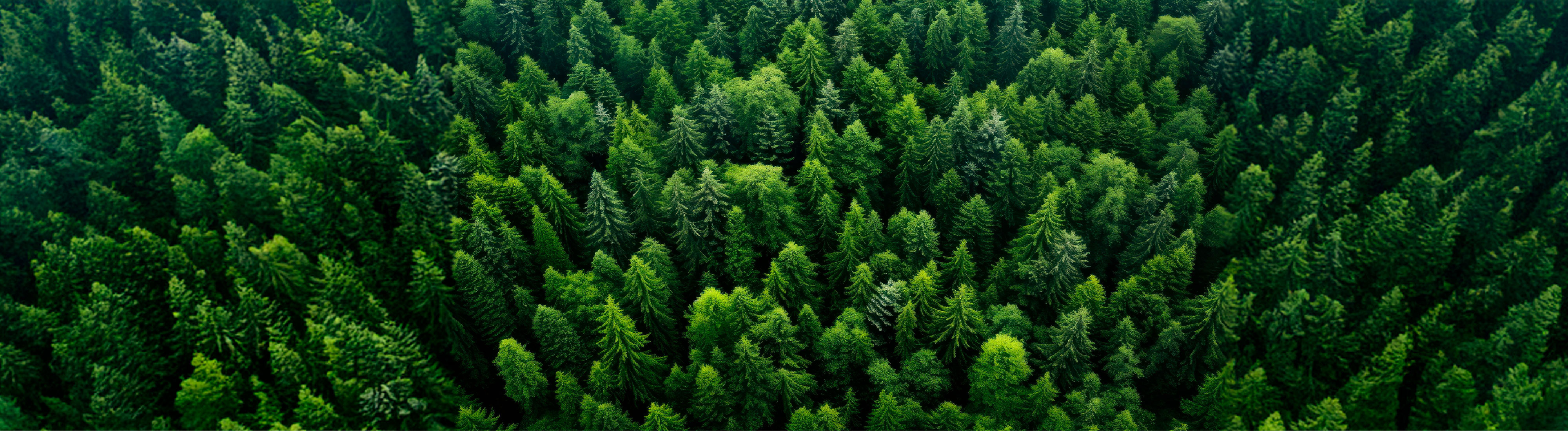 widescreen-sustainability-mainBanner.jpg